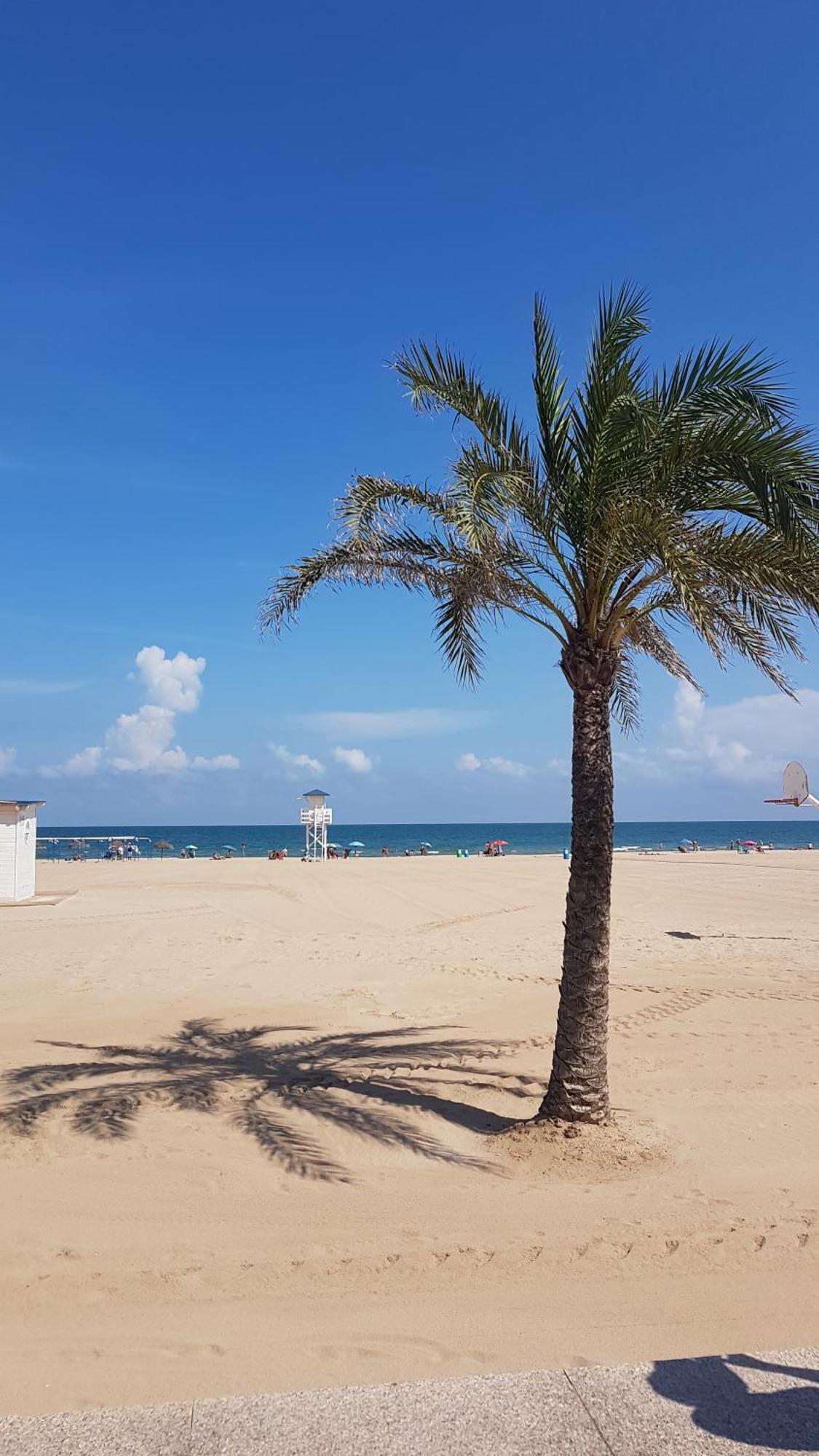 Hola Gandia Διαμέρισμα Εξωτερικό φωτογραφία